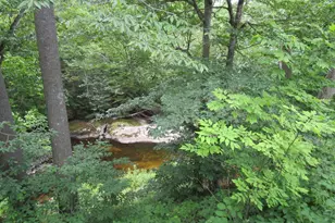 49 Buckfield Rd, Paris, ME 04281 - Photo 14