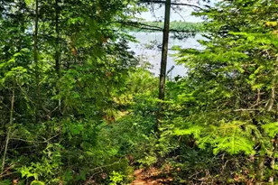 416 Horseshoe Pond Rd, Ebeemee Twp, ME 04414 - Photo 20