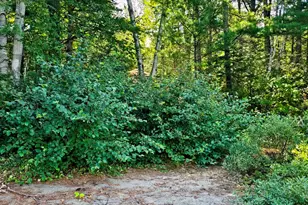416 Horseshoe Pond Rd, Ebeemee Twp, ME 04414 - Photo 18