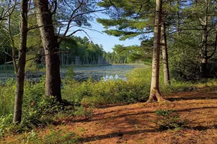 495 Dahlia Farm Rd, Monroe, ME 04951 - Photo 4