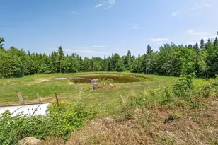4261 Union St, Levant, ME 04456 - Photo 62