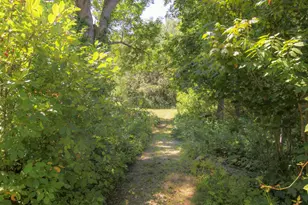 20 Shado Ln, Calais, ME 04619 - Photo 48