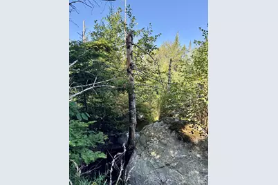 Lot 19-2 Valley Road, Columbia Falls, ME 04623 - Photo 10