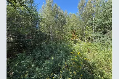 Lot 19-2 Valley Road, Columbia Falls, ME 04623 - Photo 14