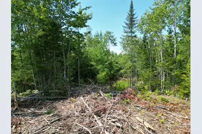Lot 4A Off Morgan Road, Burnham, ME 04922 - Photo 2