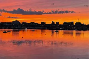 11 Pine St, South Portland, ME 04106 - Photo 4