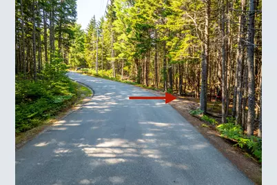 M57, L20 Paul Bunyan Road, Gouldsboro, ME 04607 - Photo 8
