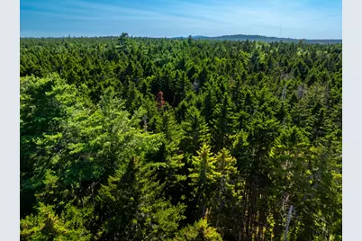 M57, L20 Paul Bunyan Road, Gouldsboro, ME 04607 - Photo 16