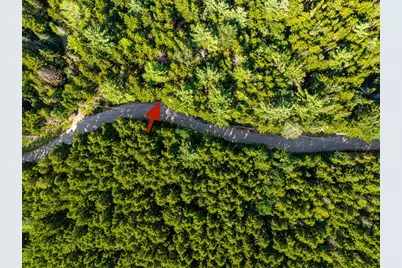 M57, L20 Paul Bunyan Road, Gouldsboro, ME 04607 - Photo 6