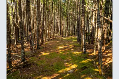 M57, L20 Paul Bunyan Road, Gouldsboro, ME 04607 - Photo 20
