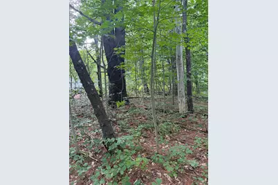 7 Birdsong Lane, Windham, ME 04062 - Photo 4