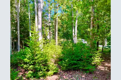 37 E Ridge Road, Southwest Harbor, ME 04679 - Photo 42