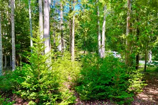 37 E Ridge Rd, Southwest Harbor, ME 04679 - Photo 42