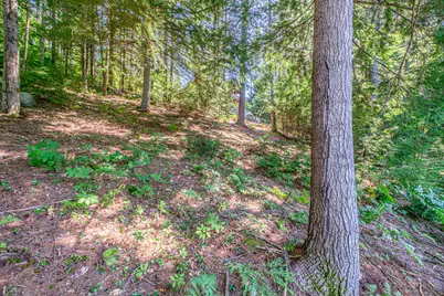 393 Bush Row Road, Denmark, ME 04022 - Photo 80