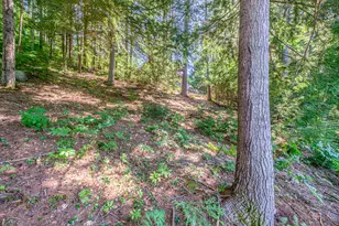 393 Bush Row Rd, Denmark, ME 04022 - Photo 80