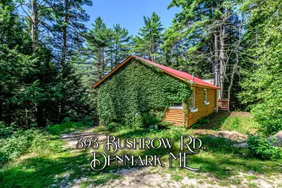 393 Bush Row Road, Denmark, ME 04022 - Photo 1