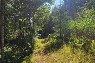 1526 &1528 Gary Moore Rd, Otis, ME 04605 - Photo 36