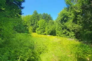 1526 &1528 Gary Moore Rd, Otis, ME 04605 - Photo 42