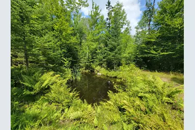 1526 &1528 Gary Moore Road, Otis, ME 04605 - Photo 34