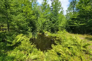 1526 &1528 Gary Moore Rd, Otis, ME 04605 - Photo 34