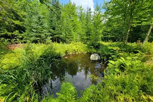 1526 &1528 Gary Moore Rd, Otis, ME 04605 - Photo 32