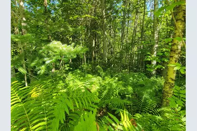 1526 &1528 Gary Moore Road, Otis, ME 04605 - Photo 38