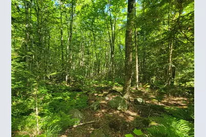 1526 &1528 Gary Moore Road, Otis, ME 04605 - Photo 40