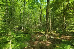 1526 &1528 Gary Moore Rd, Otis, ME 04605 - Photo 40
