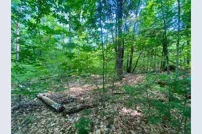 15Ac Colcord Pond Road, Porter, ME 04068 - Photo 8