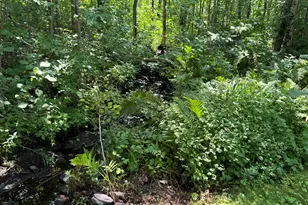 22 Station Rd, Littleton, ME 04730 - Photo 36