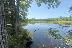 51 Dearborn Hill, Bridgton, ME 04009 - Photo 1