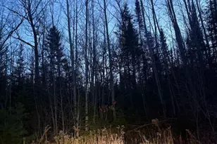 Lot 3 Ariel St, Lincoln, ME 04457 - Photo 1