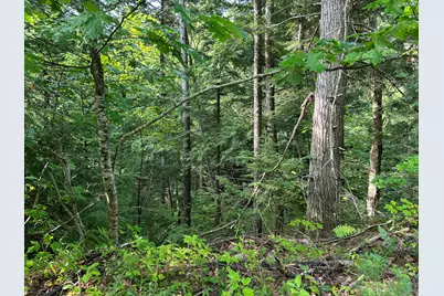 M247L4 Route 232, Rumford, ME 04276 - Photo 24