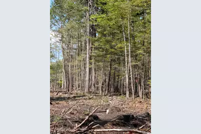 Lot 9A Maple Ridge Road, Harrison, ME 04040 - Photo 8