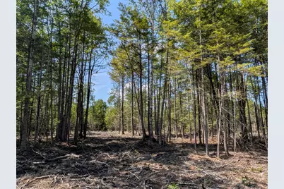 Lot 9A Maple Ridge Road, Harrison, ME 04040 - Photo 10