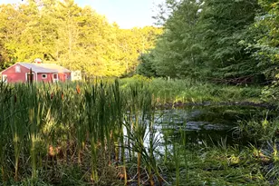51 Lunt Rd, Brunswick, ME 04011 - Photo 6