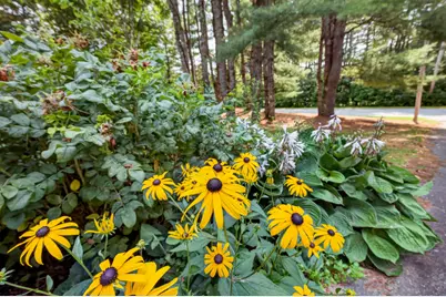 545 Deerfield Drive, Hermon, ME 04401 - Photo 6