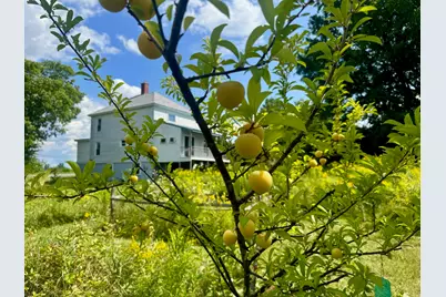 1261 Dexter Road, Dover Foxcroft, ME 04426 - Photo 66