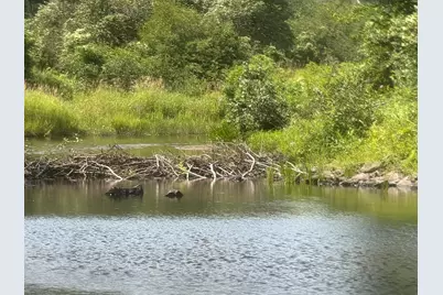M14L24-2 Swan Lake Avenue, Monroe, ME 04951 - Photo 18
