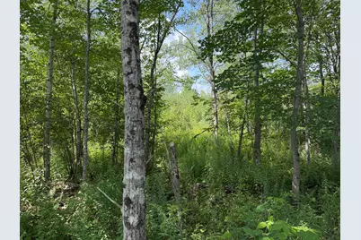 M14L24-2 Swan Lake Avenue, Monroe, ME 04951 - Photo 8