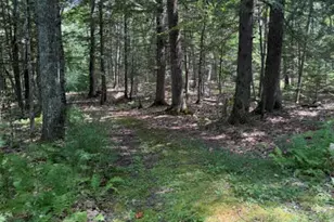 Tbd Abbott Rd, Albion, ME 04910 - Photo 20