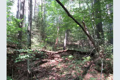 Mr10 L17 & 18 Sandy River Road, Starks, ME 04911 - Photo 14
