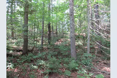 Mr10 L17 & 18 Sandy River Road, Starks, ME 04911 - Photo 16