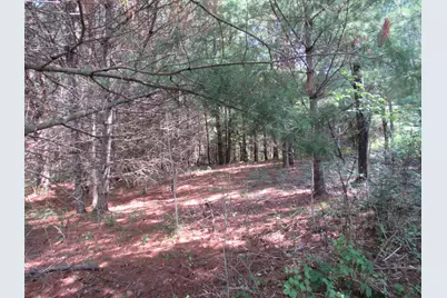Mr10 L17 & 18 Sandy River Road, Starks, ME 04911 - Photo 2
