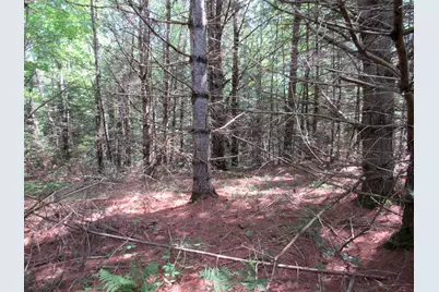 Mr10 L17 & 18 Sandy River Road, Starks, ME 04911 - Photo 4