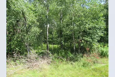 Mr10 L17 & 18 Sandy River Road, Starks, ME 04911 - Photo 10