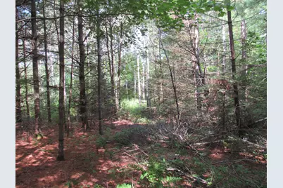 Mr10 L17 & 18 Sandy River Road, Starks, ME 04911 - Photo 6