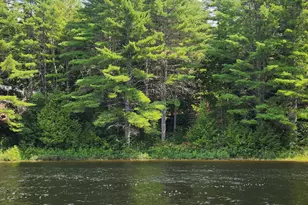 67 E Beddington Lake Rd, Beddington, ME 04622 - Photo 1
