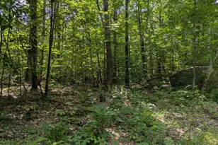Lot 37 Ward Way, Limerick, ME 04048 - Photo 1