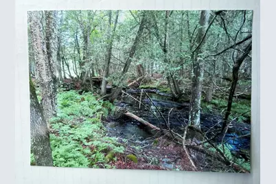 510 Milo Road, Dover Foxcroft, ME 04426 - Photo 30